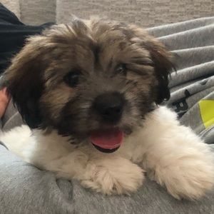 Meet your Posher, Kelly